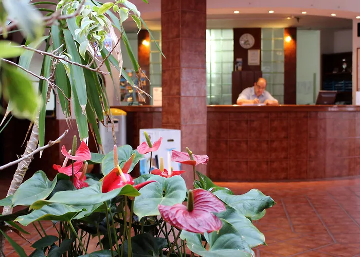 Club La Santa Sports Inclusive 3* טינאחו